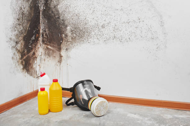 Best Mold Testing  in Crowley, TX