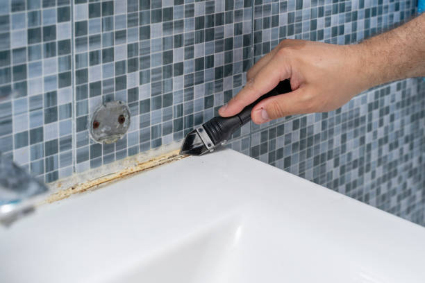 Reliable Crowley, TX Mold Removal Solutions