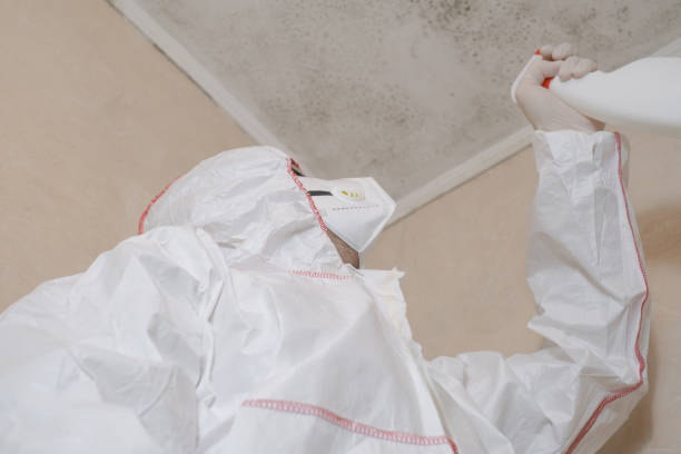 Best Residential Mold Removal  in Crowley, TX