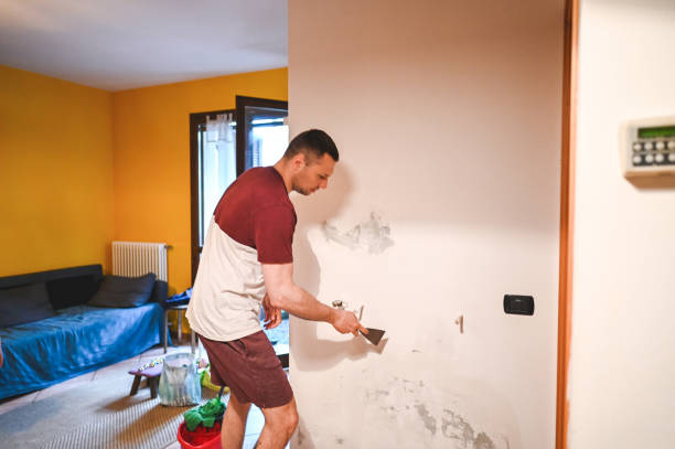  Crowley, TX Mold Removal Pros